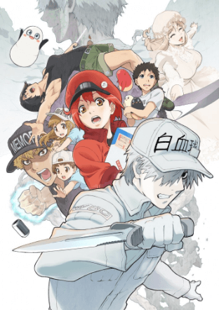 Hataraku Saibou!! 